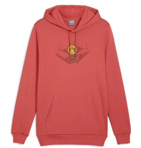 Borussia Dortmund BVB FtblIcons Hoody - 2023-24 - rot